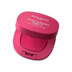 Bourjois Blush Mac Melt Lip & Cheek - 04 Pink Guava | 292097